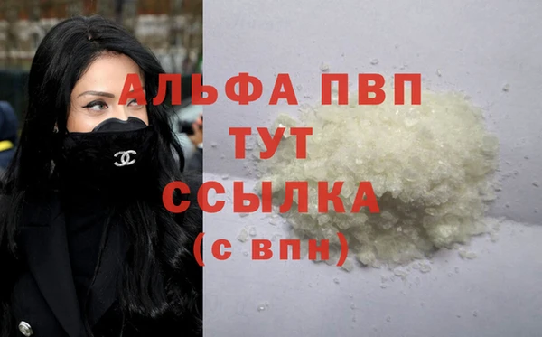 прущий лед Вяземский
