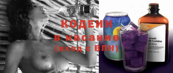 прущий лед Вяземский