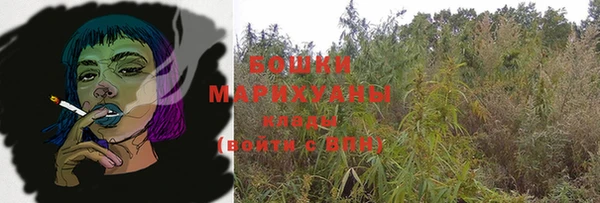 прущий лед Вяземский