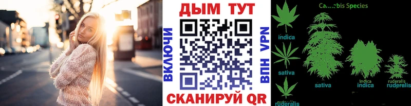 Марихуана THC 21%  Купить закладки  Краснослободск 